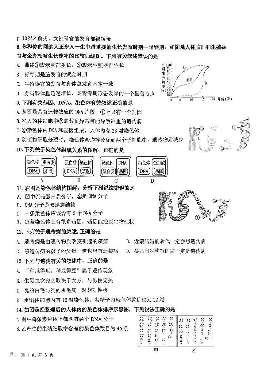 山东省济南市槐荫区西城实验学校2024-2025学年七年级下学期5月月考生物试题 （pdf版，含答案）第2页