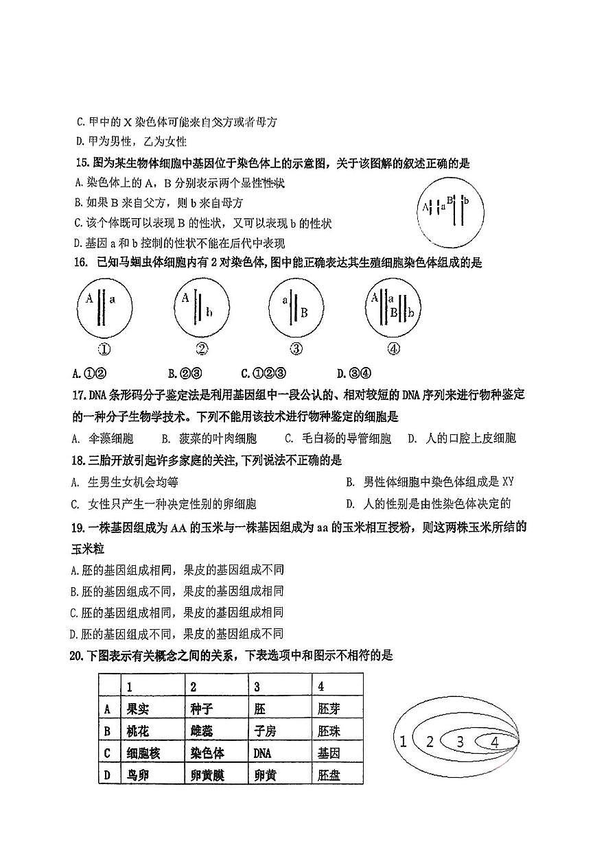 山东省济南市槐荫区西城实验学校2024-2025学年七年级下学期5月月考生物试题 （pdf版，含答案）第3页