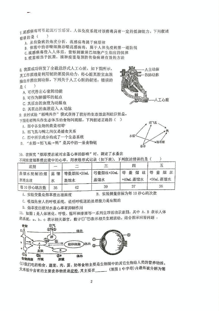 2025年江苏省徐州市沛县汉源中学联盟学区八年级三模生物试题（PDF版，含答案）第2页