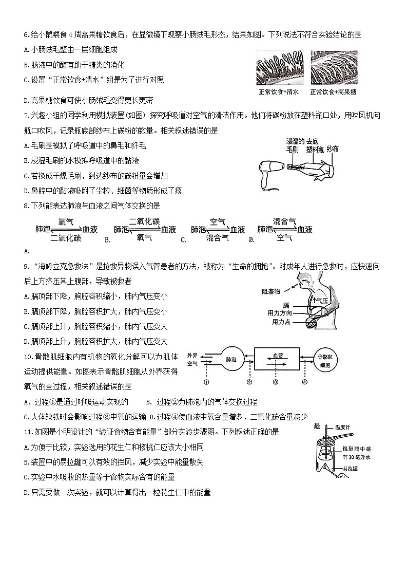 山东省济南市槐荫区2023-2024学年七年级下学期4月期中生物试题第2页