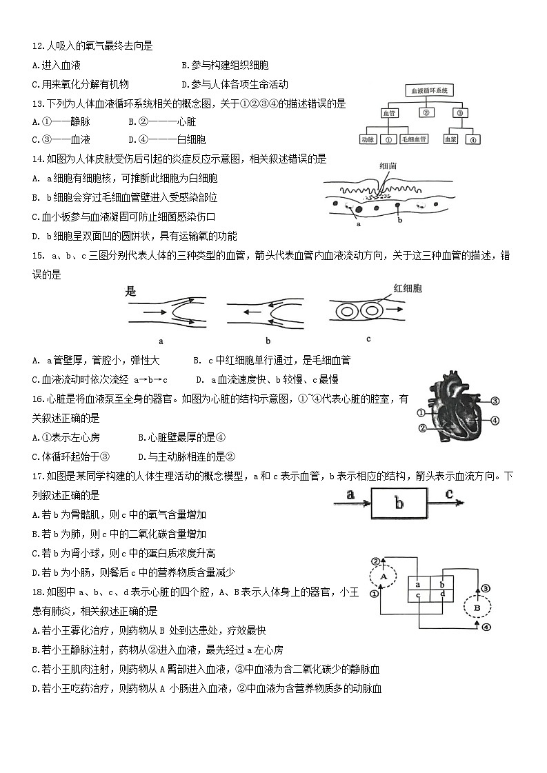山东省济南市槐荫区2023-2024学年七年级下学期4月期中生物试题第3页