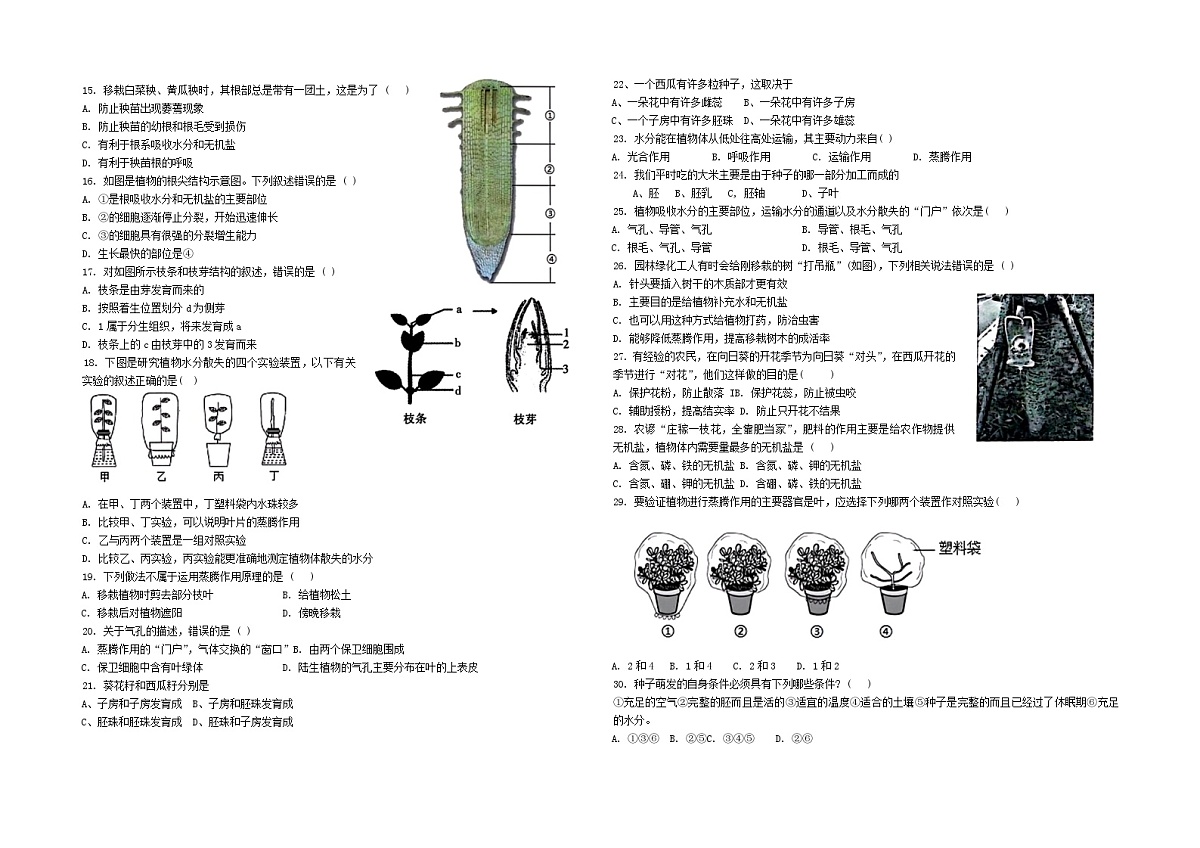 山东省威海市文登区城区重点初中联考2023-2024学年六年级下学期5月期中生物试题第2页