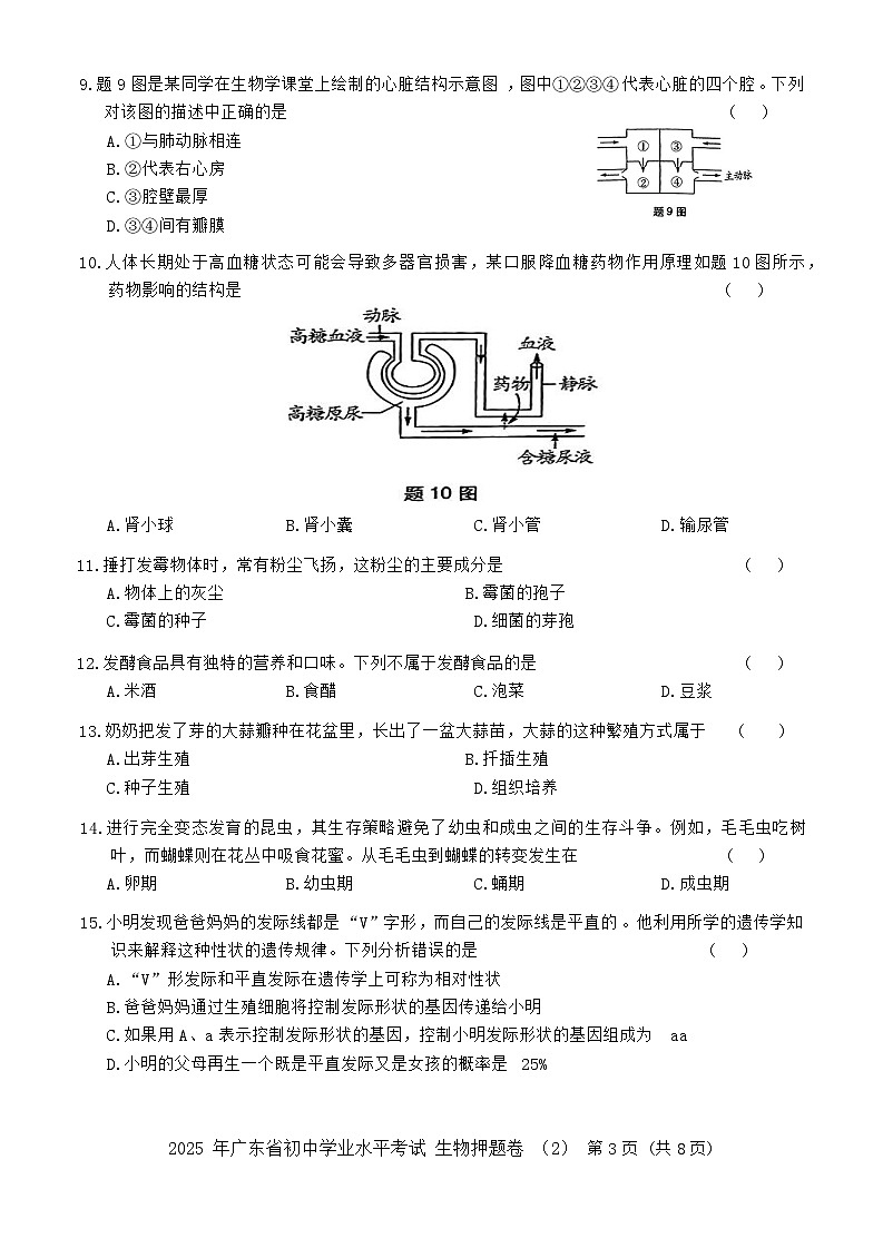 2025 年广东省初中学业水平考试生物押题卷3（含答案）第3页