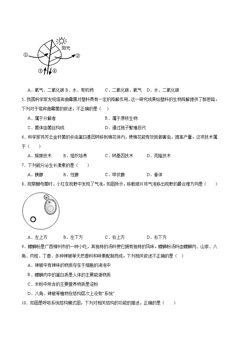 2025年中考考前押题最后一卷：生物（广西卷）考试版第2页