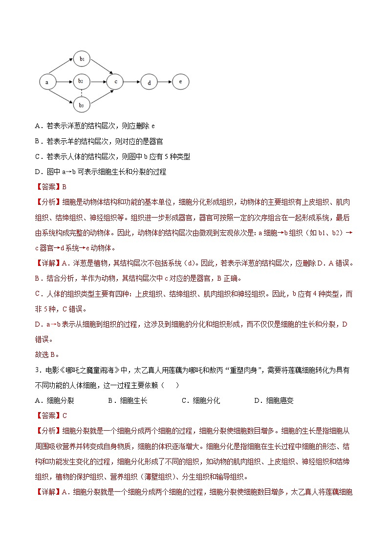 2025年中考考前押题最后一卷：生物（河北卷）（解析版）第2页