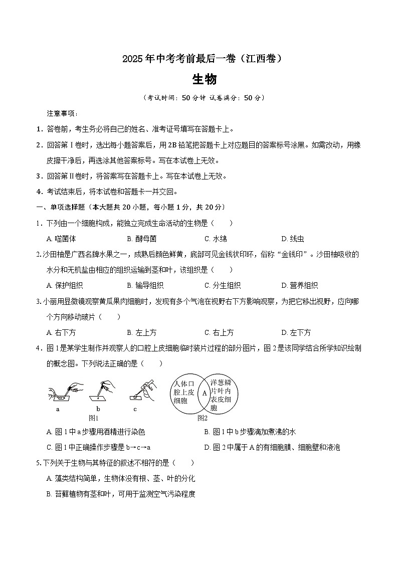 2025年中考考前押题最后一卷：生物（江西卷）（考试版）第1页