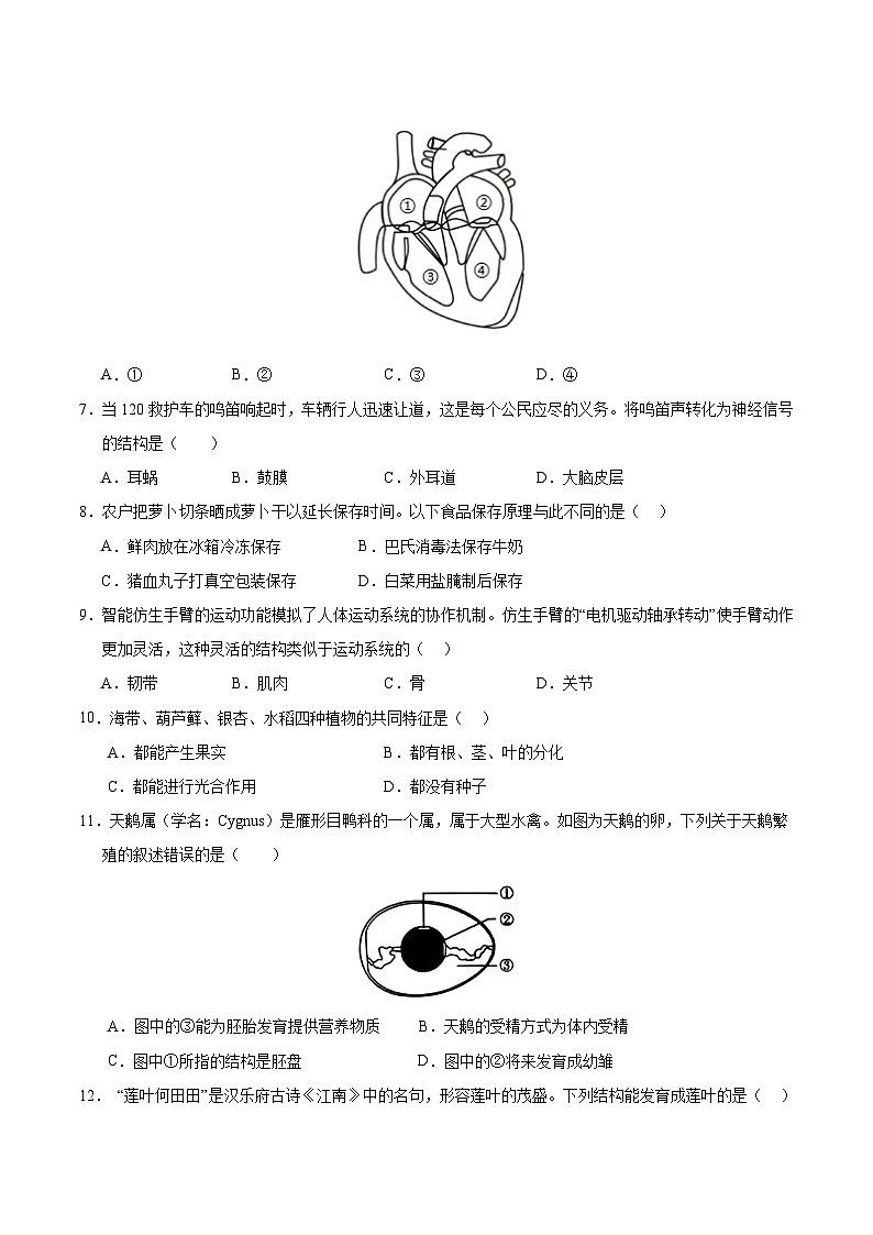 2025年中考考前押题最后一卷：生物（辽宁卷）（考试版）第2页