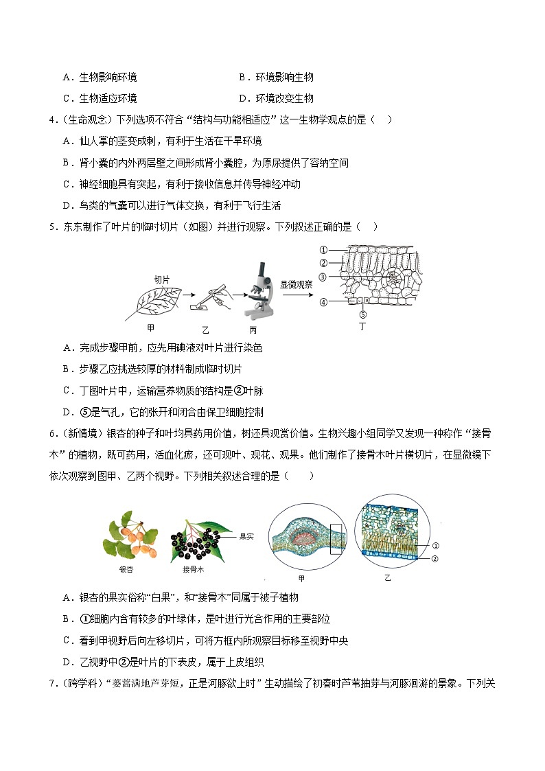 2025年中考考前押题最后一卷：生物（青岛卷）（考试版）第2页