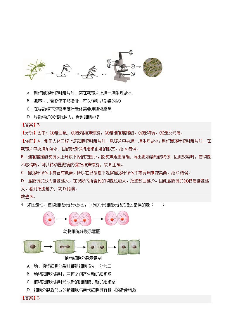 2025年中考考前押题最后一卷：生物（深圳卷）（解析版）第3页