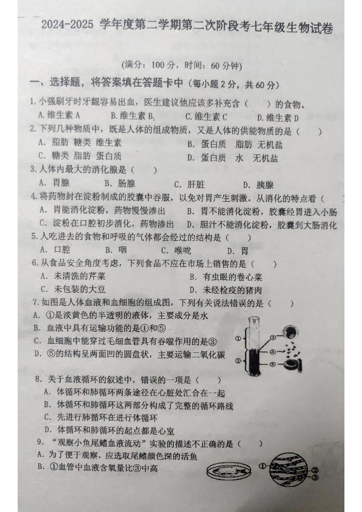 广东省揭阳市惠来县2024-2025学年七年级下学期第二次阶段考生物试卷（pdf版，含答案含答题卡）第1页