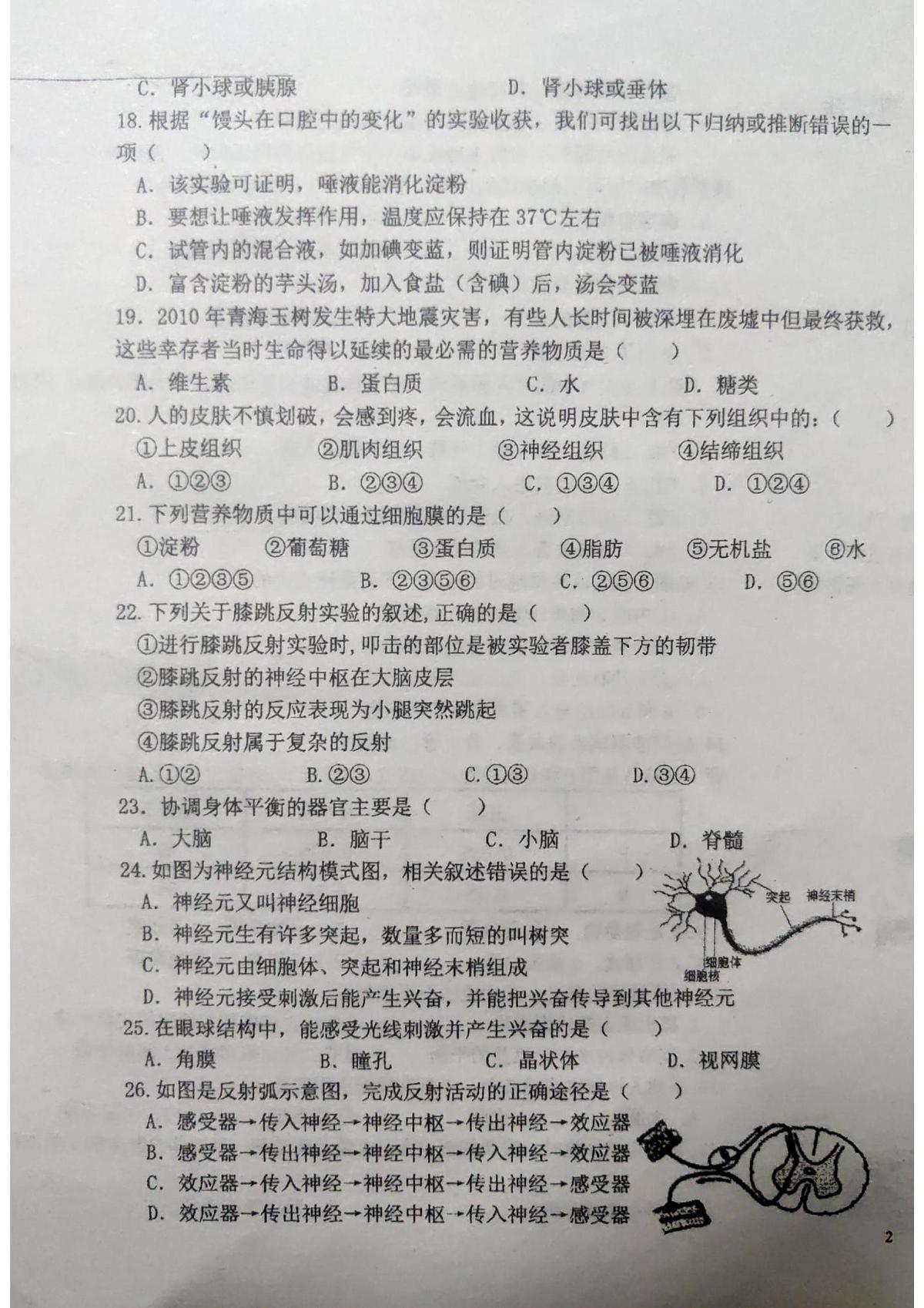 广东省揭阳市惠来县2024-2025学年七年级下学期第二次阶段考生物试卷（pdf版，含答案含答题卡）第3页