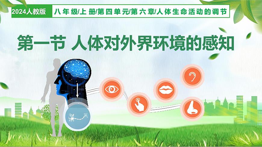 4.6.1 人体对外界环境的感知（教学课件）-2025-2026学年八年级生物上册 （人教版2024）第1页