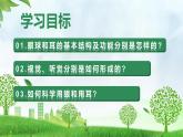 4.6.1 人體對外界環(huán)境的感知（教學課件）-2025-2026學年八年級生物上冊 （人教版2024）