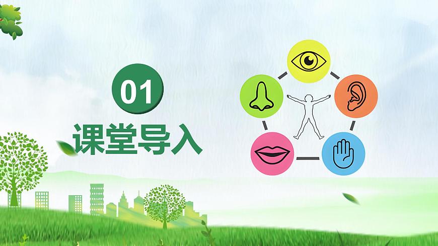 4.6.1 人体对外界环境的感知（教学课件）-2025-2026学年八年级生物上册 （人教版2024）第4页