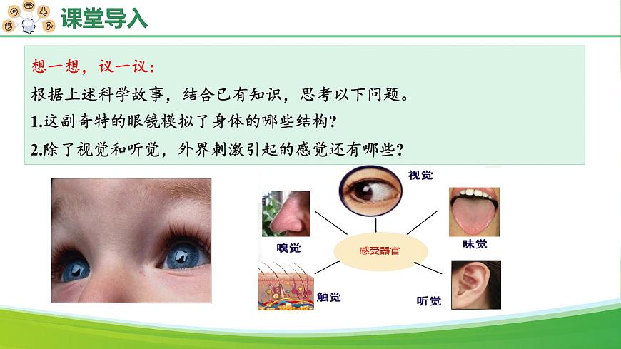 4.6.1 人体对外界环境的感知（教学课件）-2025-2026学年八年级生物上册 （人教版2024）第6页