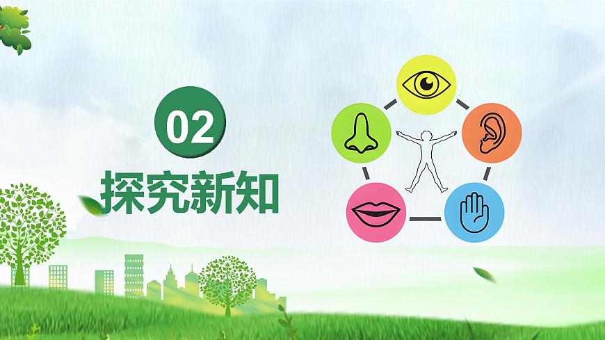 4.6.1 人体对外界环境的感知（教学课件）-2025-2026学年八年级生物上册 （人教版2024）第7页