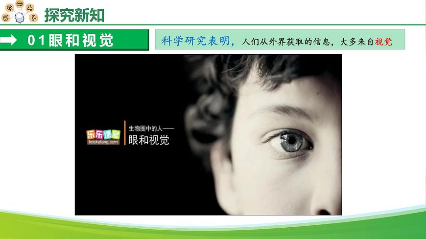 4.6.1 人体对外界环境的感知（教学课件）-2025-2026学年八年级生物上册 （人教版2024）第8页