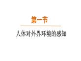 人教版（2024）生物八年級上冊 6.1 人體對外界環(huán)境的感知（課件）
