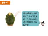 人教版（2024）生物八年級上冊 6.1 人體對外界環(huán)境的感知（課件）