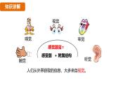 人教版（2024）生物八年級上冊 6.1 人體對外界環(huán)境的感知（課件）