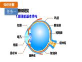 人教版（2024）生物八年級上冊 6.1 人體對外界環(huán)境的感知（課件）