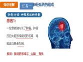 人教版（2024）生物八年級上冊 6.2 神經(jīng)調(diào)節(jié)（課件）