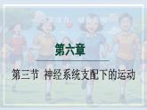 人教版（2024）生物八年級上冊 6.3 神經(jīng)系統(tǒng)支配下的運動（課件）