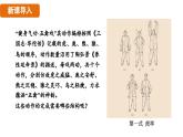 人教版（2024）生物八年級上冊 6.3 神經(jīng)系統(tǒng)支配下的運動（課件）