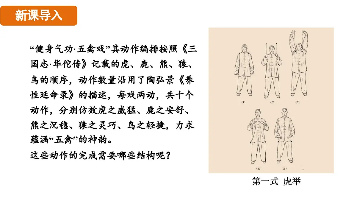 人教版（2024）生物八年级上册 6.3 神经系统支配下的运动（课件）第3页