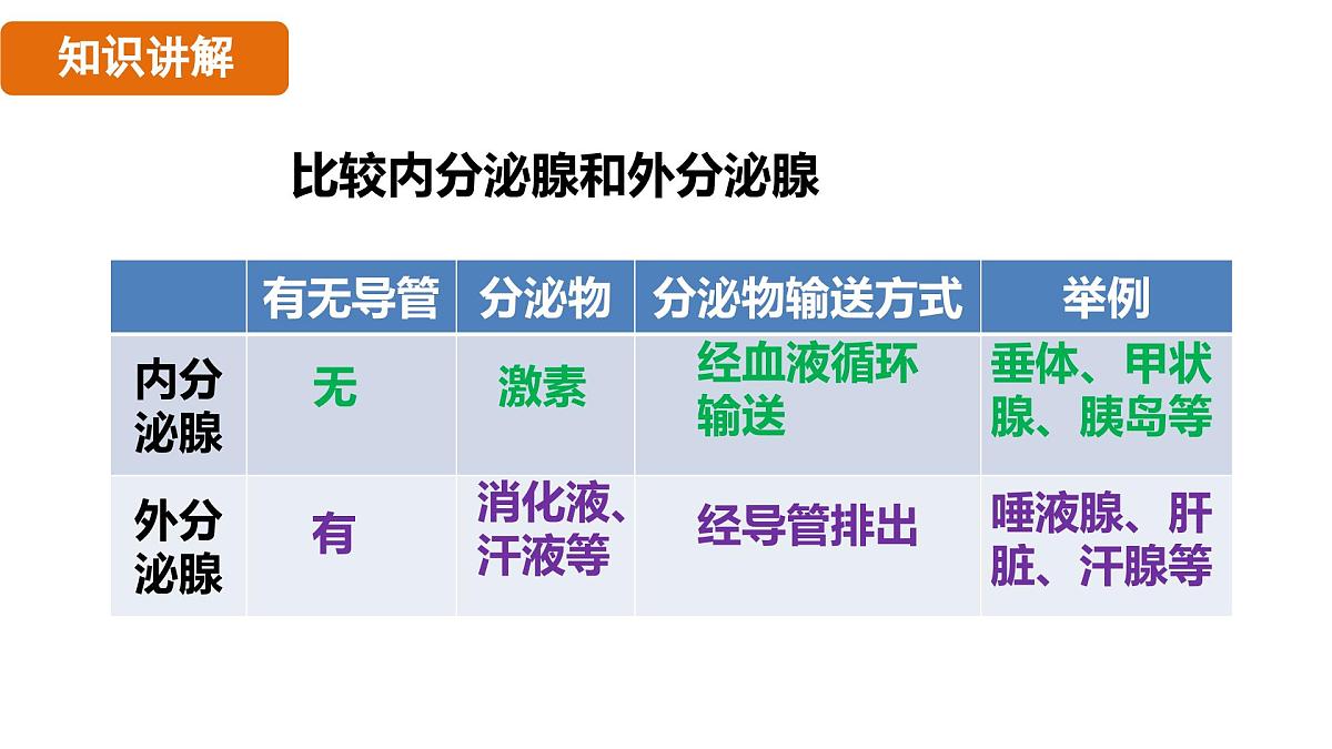 人教版（2024）生物八年级上册 6.4 激素调节（课件）第7页