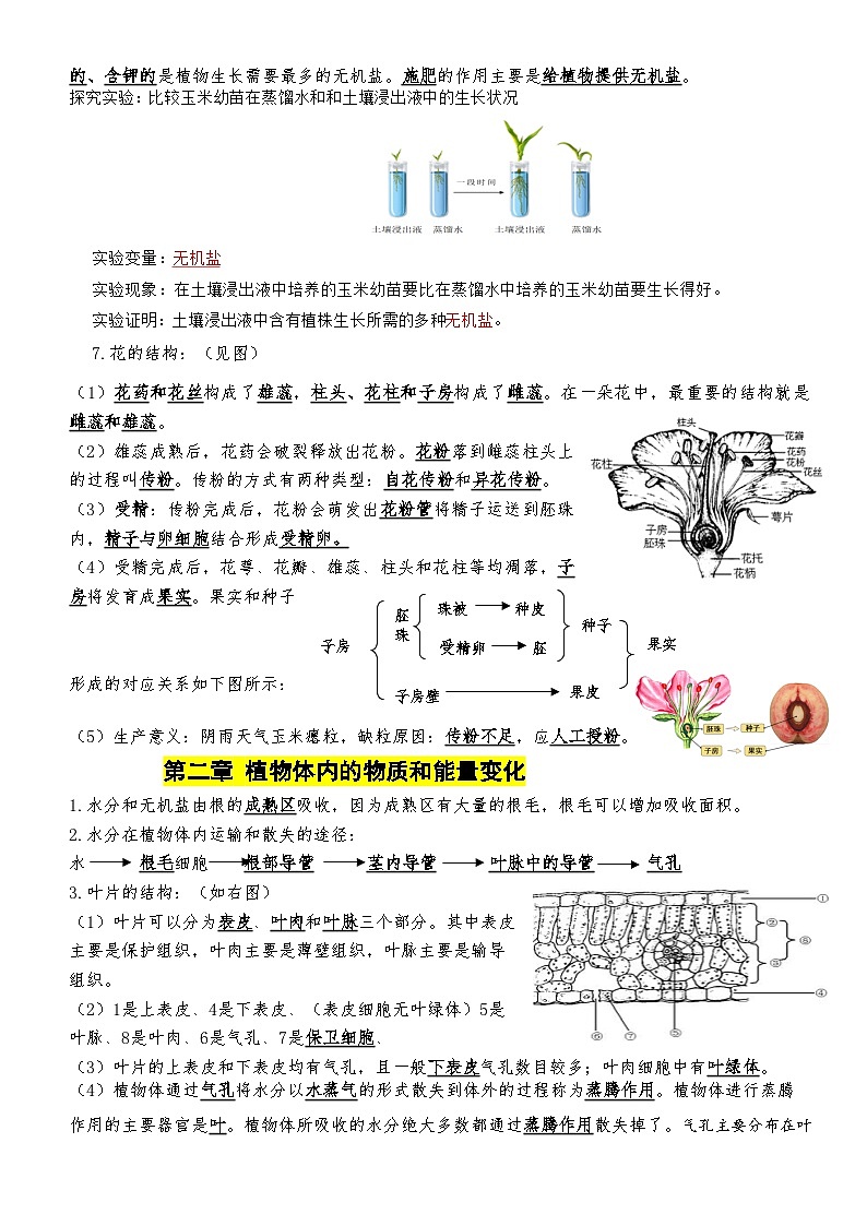 人教版（2024）七年级下册生物期末复习全册必背知识考点提纲 学案第2页