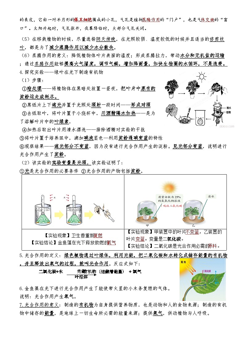 人教版（2024）七年级下册生物期末复习全册必背知识考点提纲 学案第3页