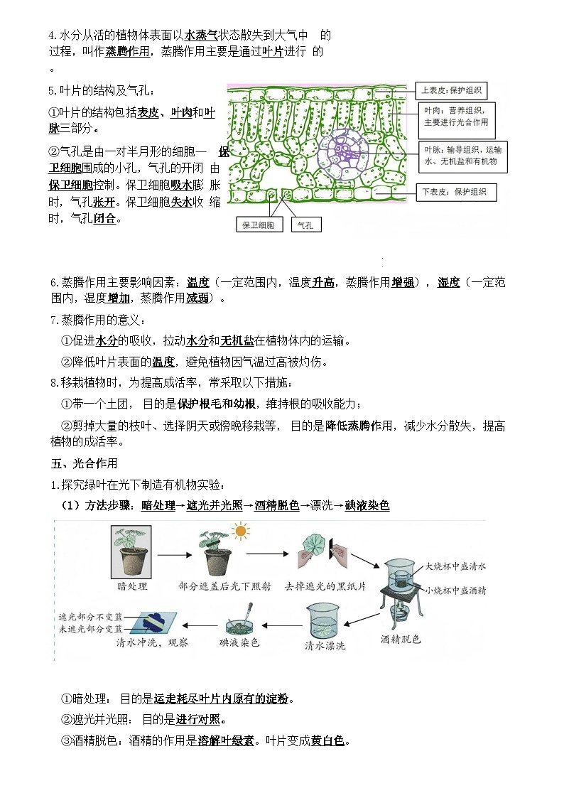 人教版（2024）七年级下册生物期末复习全册必背知识点提纲 学案第3页