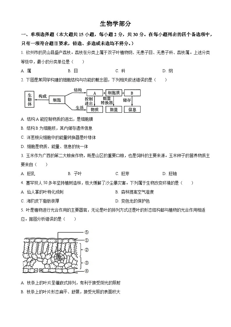2025年广西来宾市八年级三模生物试题（中考模拟）第1页