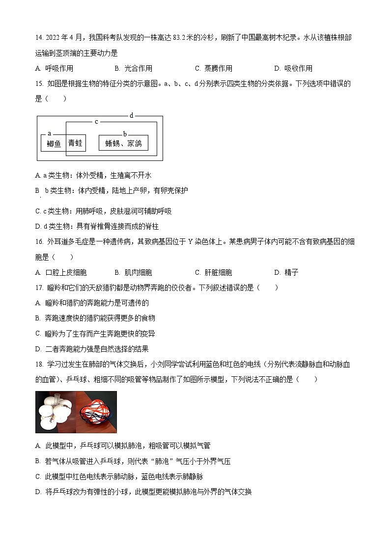 2025年江西省吉安市八年级中考模拟生物试题（中考模拟）第3页