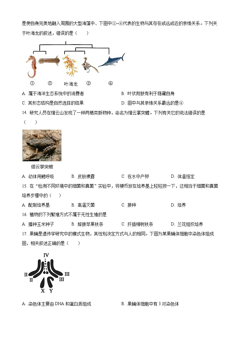 2025年天津市东丽区八年级中考模拟生物试题（中考模拟）第3页