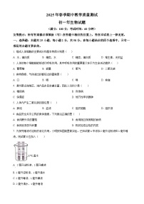 福建省泉州市南安市2024-2025学年七年级下学期期中生物试题