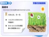 4.1.1 生物與環(huán)境的相互作用（教學課件）-2025-2026學年七年級生物上冊（魯科版五四學制2024）