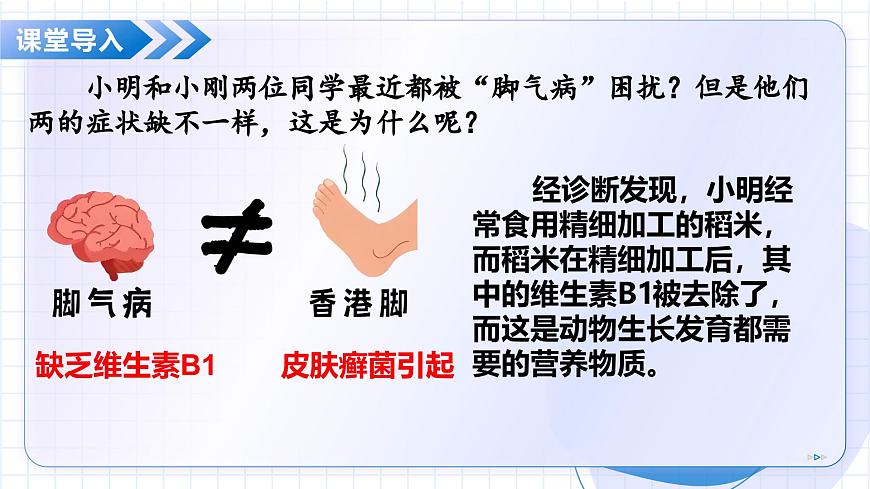 12.1 食物中的营养物质 第1课时（教学课件）-2025-2026学年八年级生物上册（苏教版2024）第5页