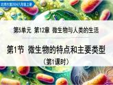 5.12.1 微生物的特点和主要类型 第1课时（教学课件）生物北师大版2024八年级上册