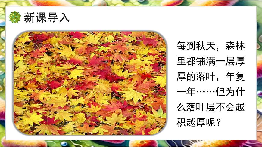 5.12.1 微生物的特点和主要类型 第1课时（教学课件）生物北师大版2024八年级上册第3页