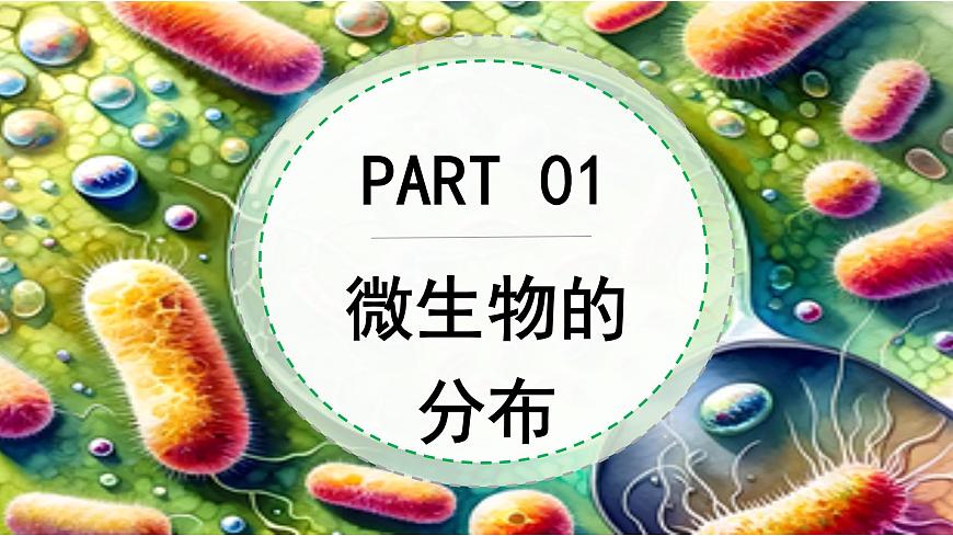 5.12.1 微生物的特点和主要类型 第1课时（教学课件）生物北师大版2024八年级上册第4页