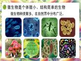 5.12.1 微生物的特点和主要类型 第1课时（教学课件）生物北师大版2024八年级上册