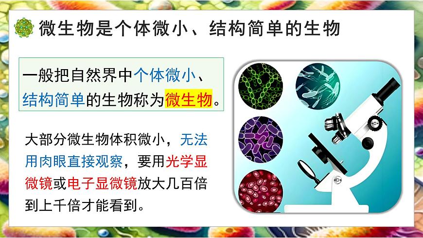 5.12.1 微生物的特点和主要类型 第1课时（教学课件）生物北师大版2024八年级上册第6页