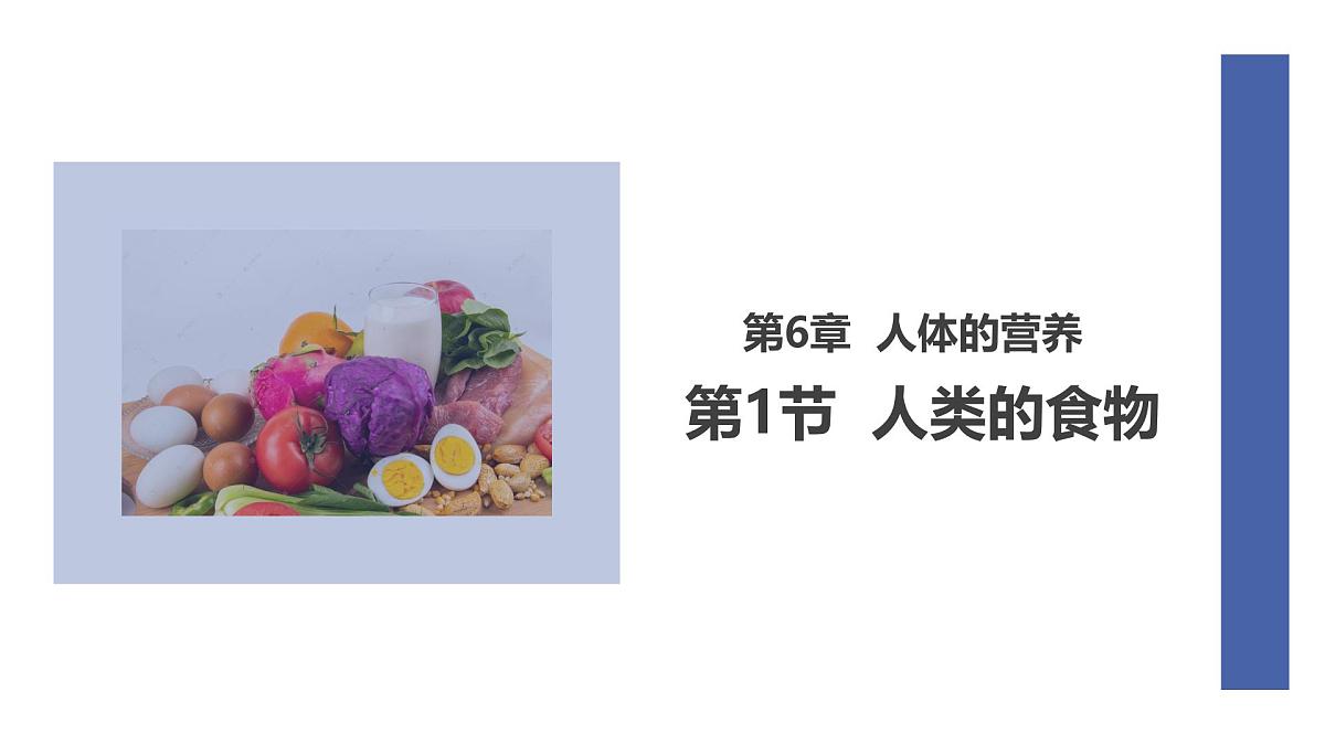 初中生物北师大版（2024）七年级下册4.6.1 人类的食物 课件第1页