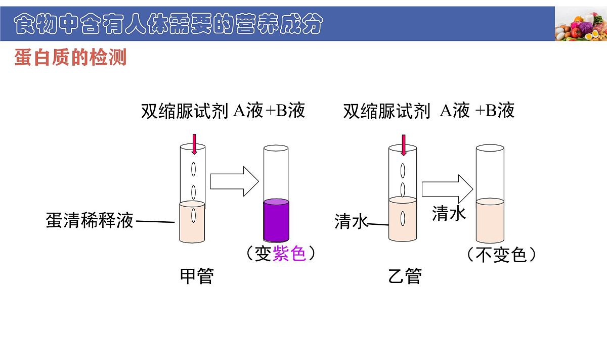初中生物北师大版（2024）七年级下册4.6.1 人类的食物 课件第7页