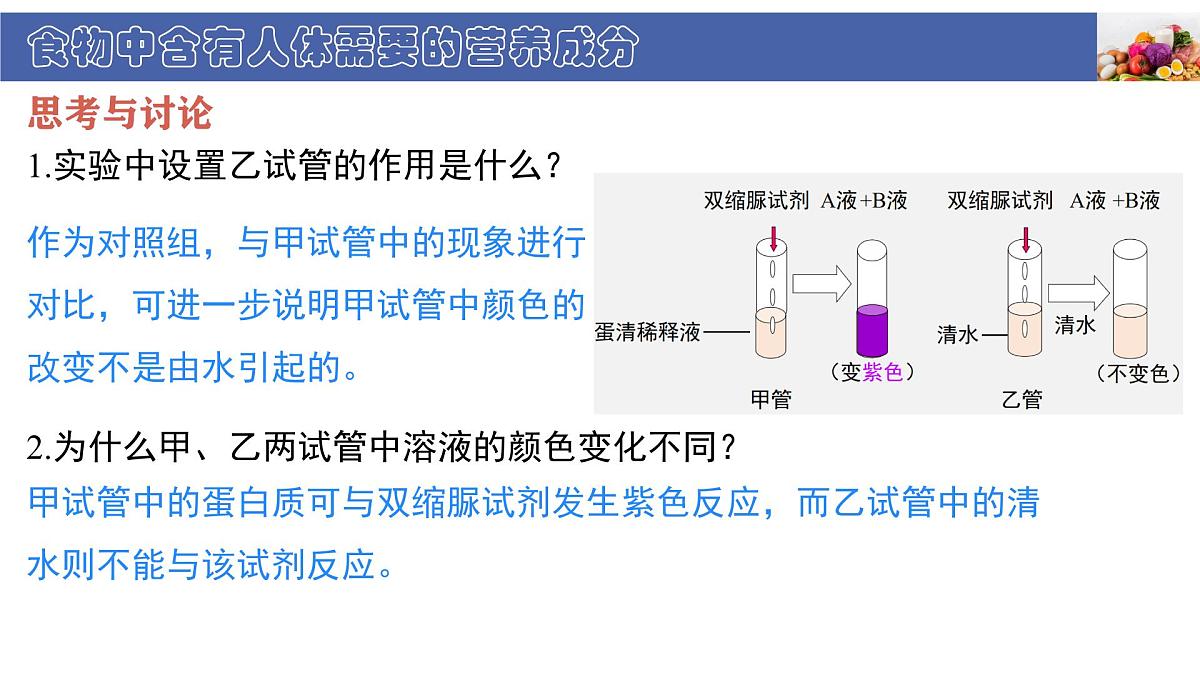 初中生物北师大版（2024）七年级下册4.6.1 人类的食物 课件第8页