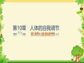 初中生物北師大版（2024）七年級(jí)下冊(cè)4.10.3 激素調(diào)節(jié) 課件