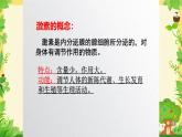 初中生物北師大版（2024）七年級(jí)下冊(cè)4.10.3 激素調(diào)節(jié) 課件