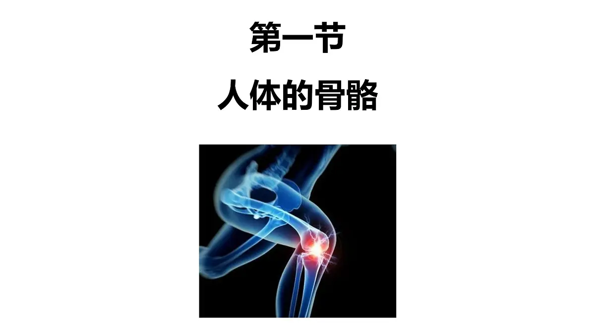 初中生物北师大版（2024）七年级下册4.11.1 人体的骨骼 课件第1页